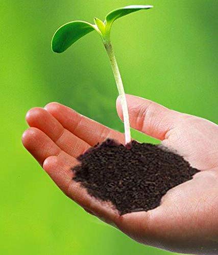 5 KG Organic Vermicompost for Plants